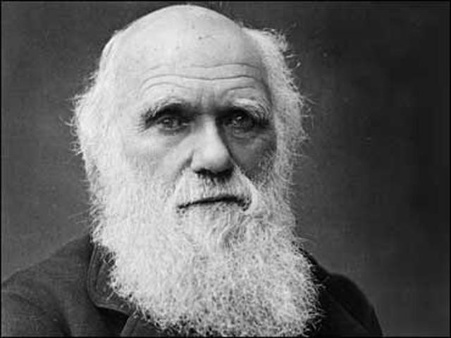 Charles Darwin / Credit: Wikipedia