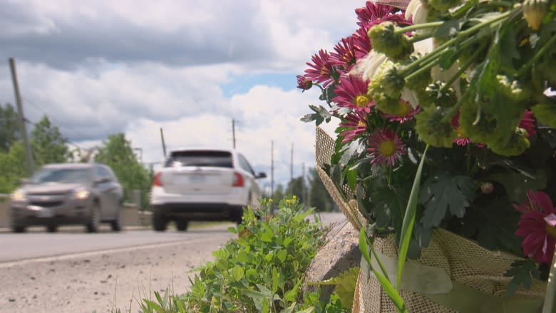 Kemptville residents demand safety upgrades after pedestrian killed