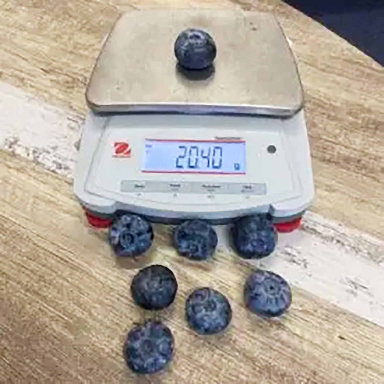 Australia record breaking blueberry (Costa Group)