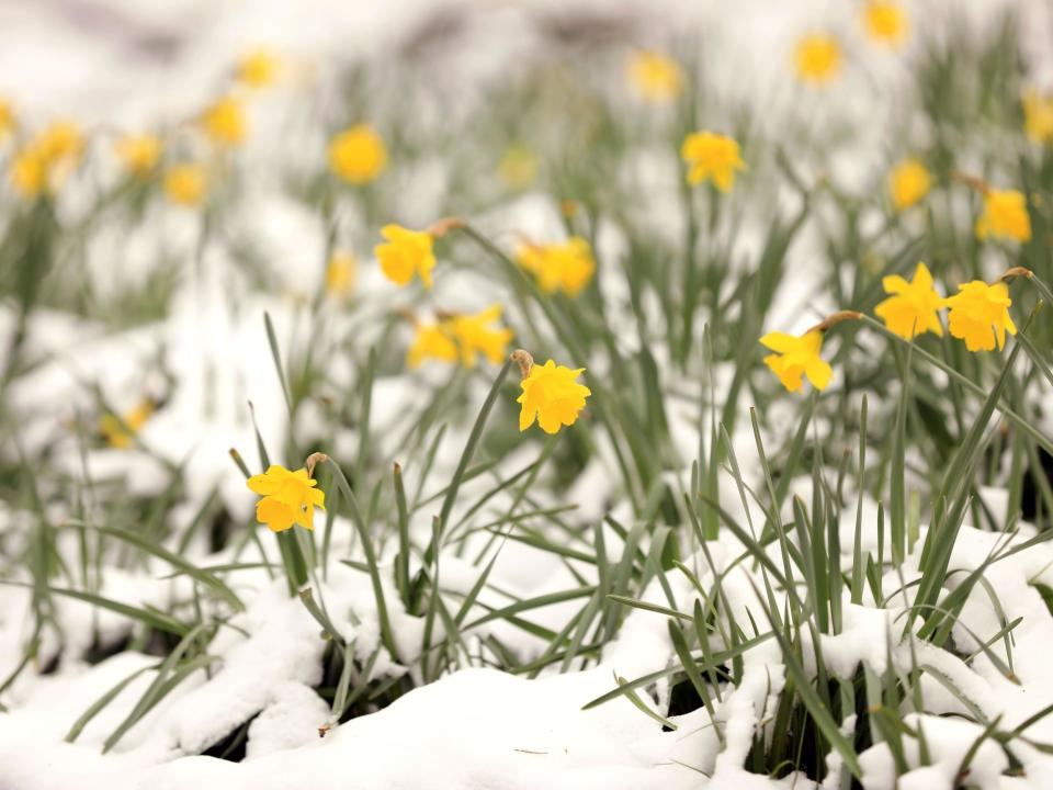 UK weather: 'White Easter' possible as mild conditions set to give way to bank holiday snow