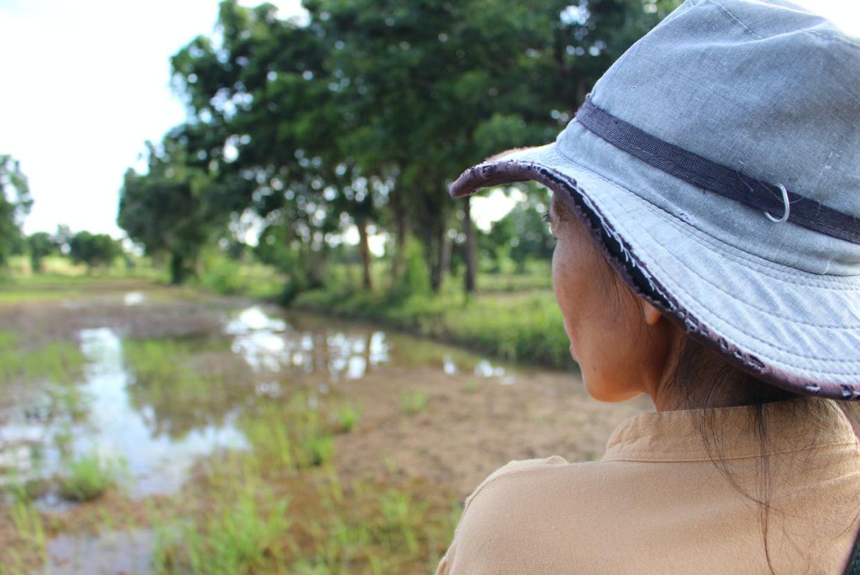 <a href="https://www.shutterstock.com/image-photo/farmers-staring-rice-fields-plenty-water-1500187241" rel="nofollow noopener" target="_blank" data-ylk="slk:Shutterstock;elm:context_link;itc:0;sec:content-canvas" class="link ">Shutterstock</a>