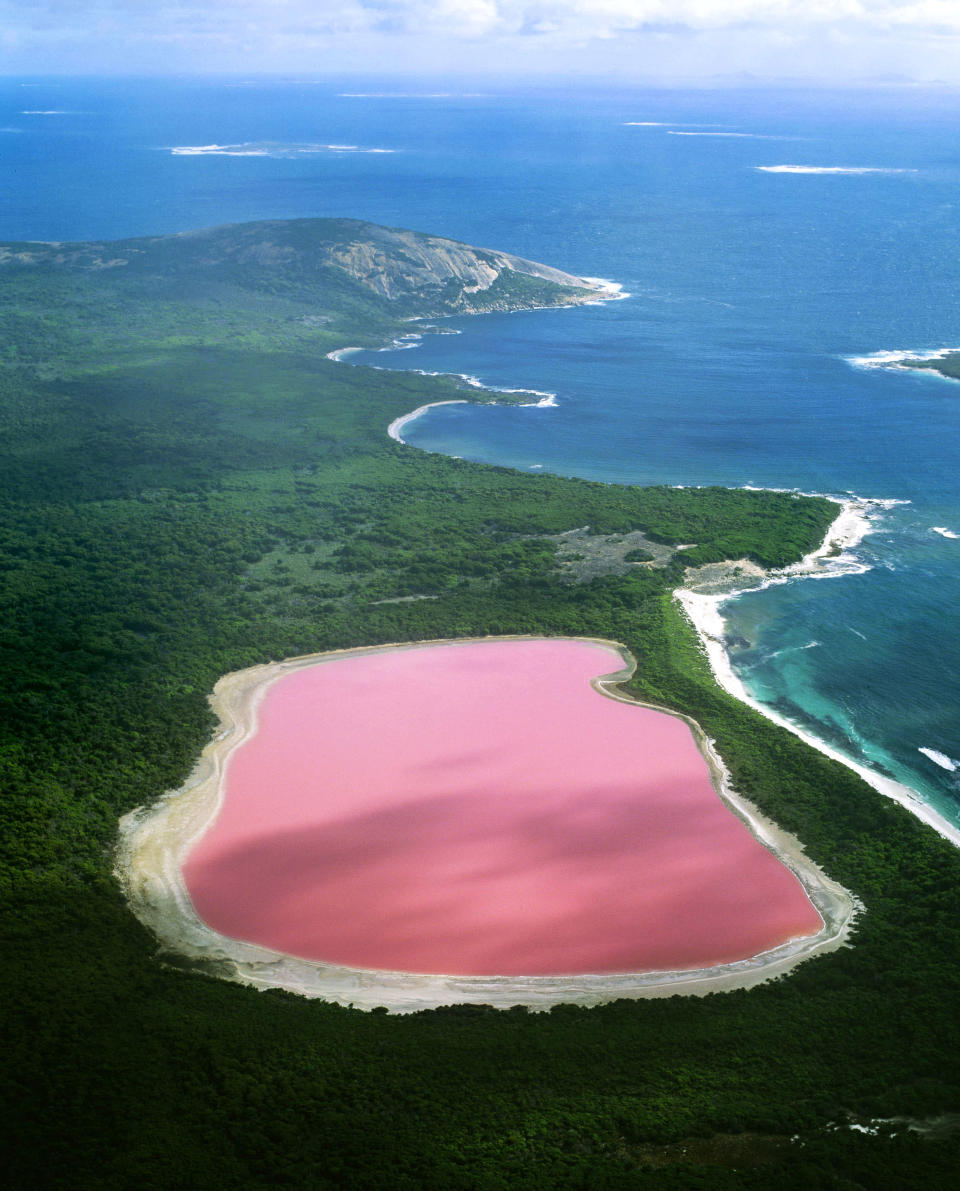 <b>The pink Lake Hiller lake, Australie-Occidentale</b><br> Les scientifiques ont prouvé que cette surprenante coloration est due à la présence d'algues. <br> (Photo: Jean Paul Ferrero/Ardea/Caters News)