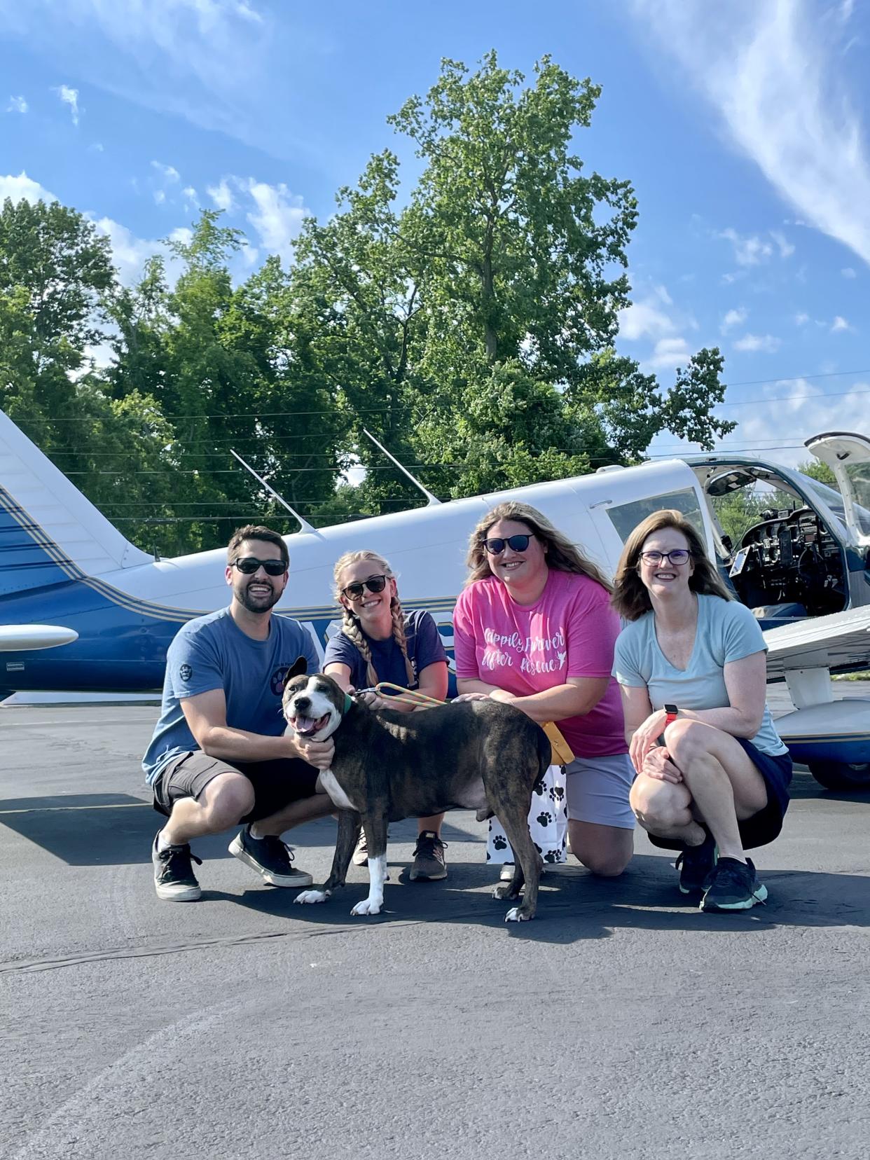 Pilots from the nonprofit Pilots N Paws flew Van Gogh from a shelter in North Carolina to Connecticut in June.  (Courtesy Happily Furever After Rescue)