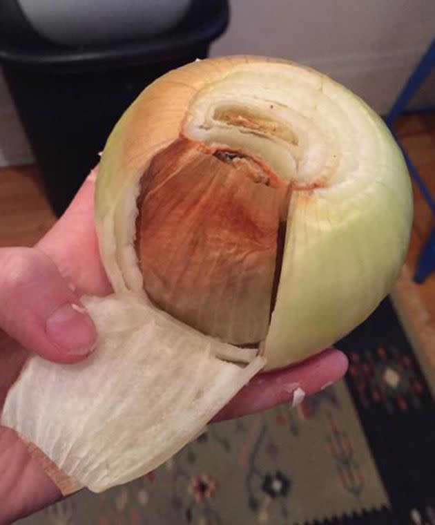 Waiter, there’s an onion inside my onion. Photo: thepumpernickel/Instagram.