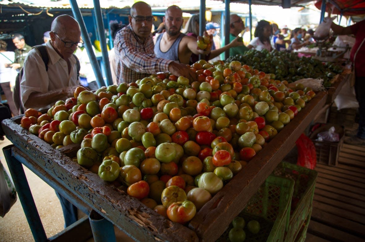 Shopper buy tomatoes at the 17 and K Market in Havana, Cuba, Friday, Dec. 23, 2022. (AP Photo/Ismael Francisco)