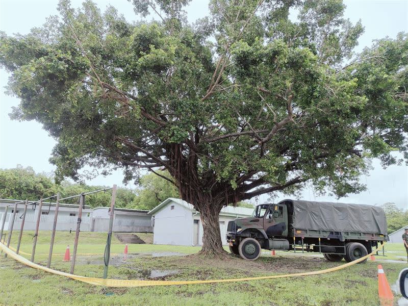 家屬質疑，將近5公尺的樹要怎麼爬上去？為什麼遺體沒有泥土？軍方又為什麼擅自移動遺體？（圖／翻攝畫面）