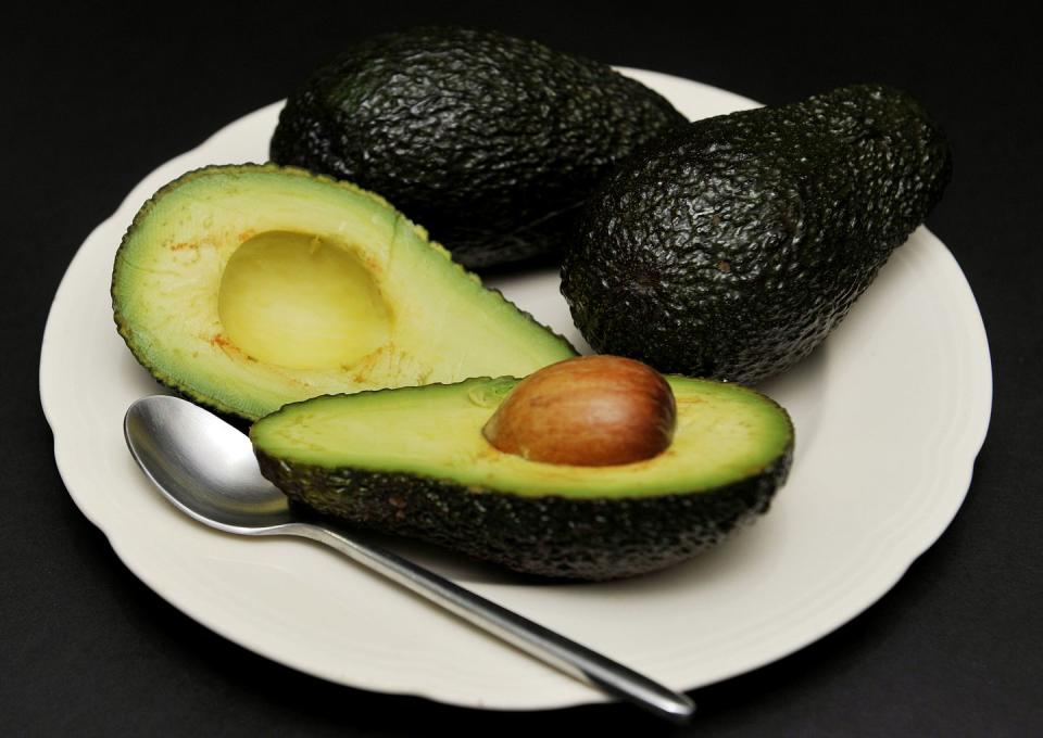 avocado research