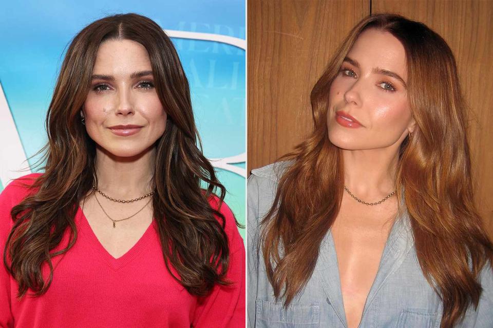 <p>Sophia Bush/Instagram; Jamie McCarthy/Getty </p> Sophia Bush pictured with dark brown hair alongside her new copper red hair