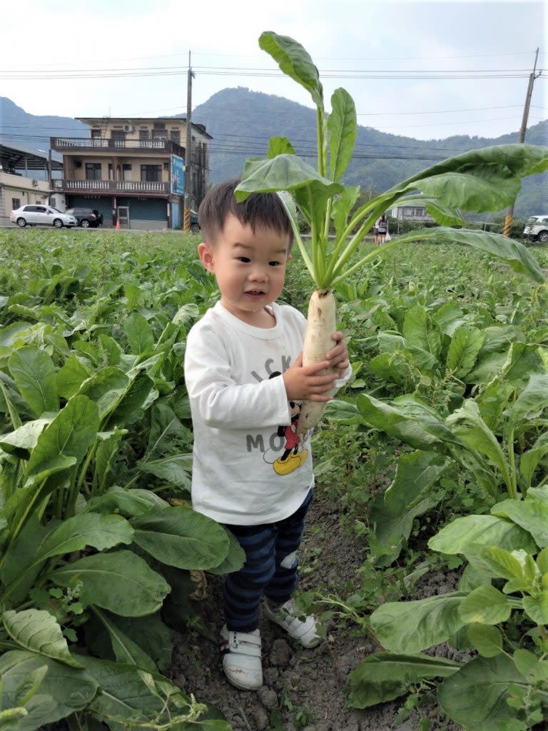 全家走春踏青，到戶外接近大自然，維持良好運動習慣並享受親子互動。（記者葉進耀攝）