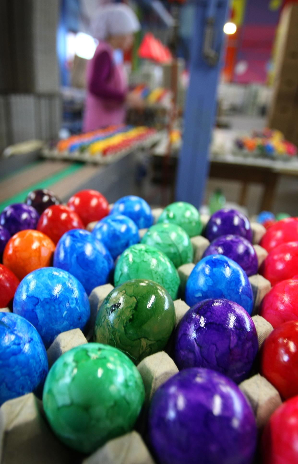 Colored eggs at the egg dye factory