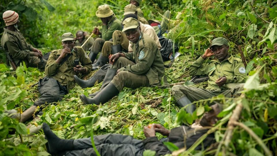 Eco-guards in the Kahuzi-Biega National Park