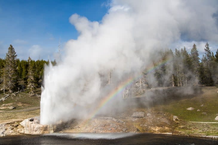 Riverside Geyser with a rainbow in Yellowstone's Upper Geyser Basin