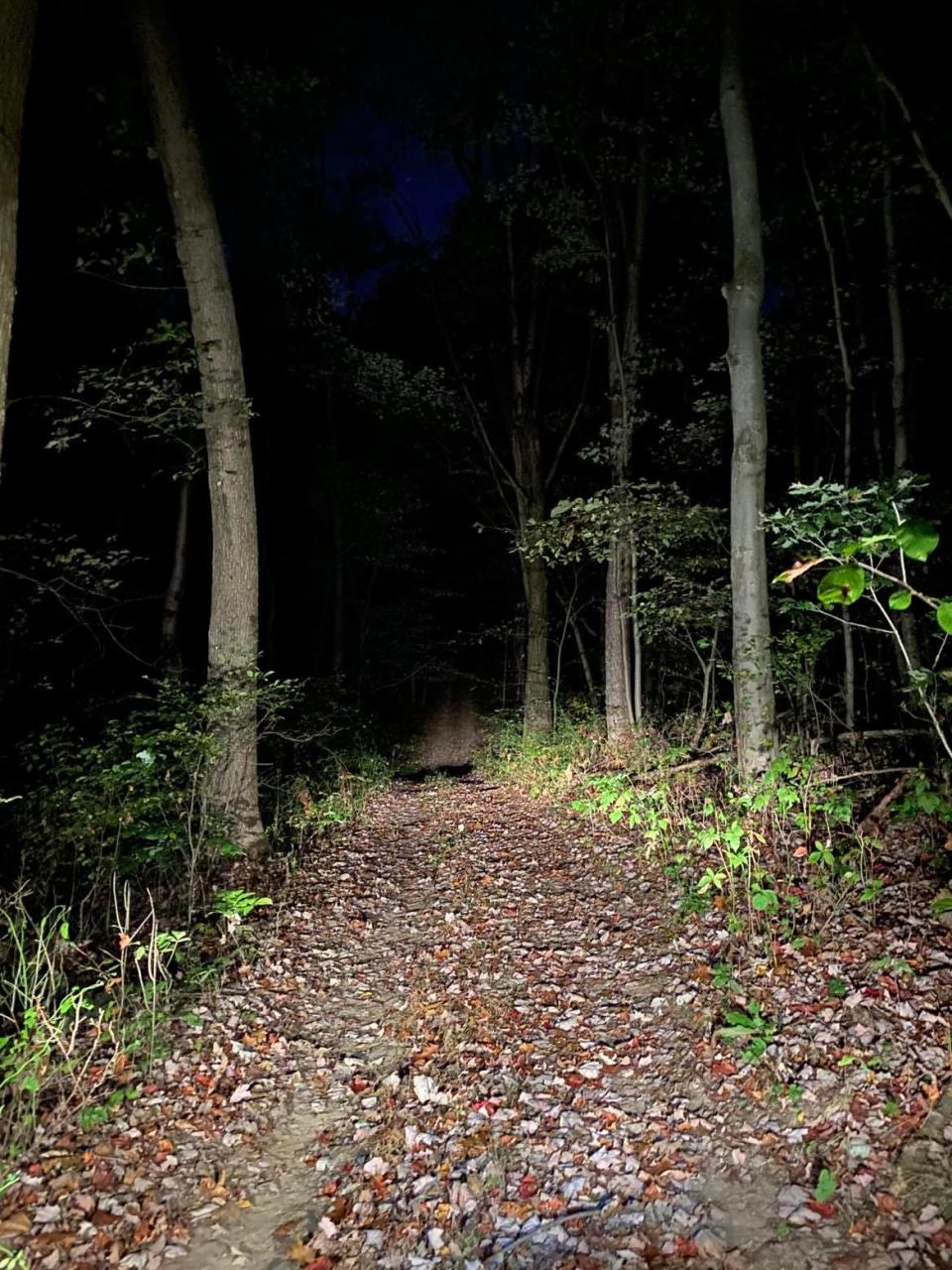 Filmmaker Seth Breedlove recently explored the Minerva area wilderness for potential evidence of a Bigfoot-type creature. A new YouTube series, "The Bigfoot Project," will be released this month.