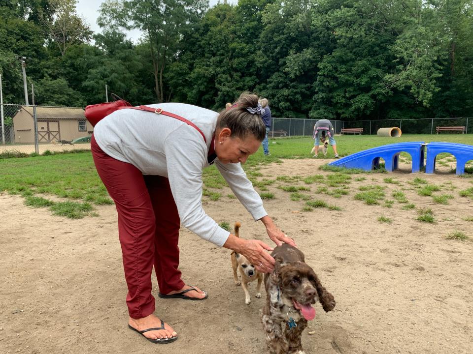 A woman pets a dog at Slater Memorial dog park in Pawtucket last year while her dog gives chase. The state DEM on Thursday advised dog owners to avoid bringing their dogs to such gathering areas because of a contagious illness.