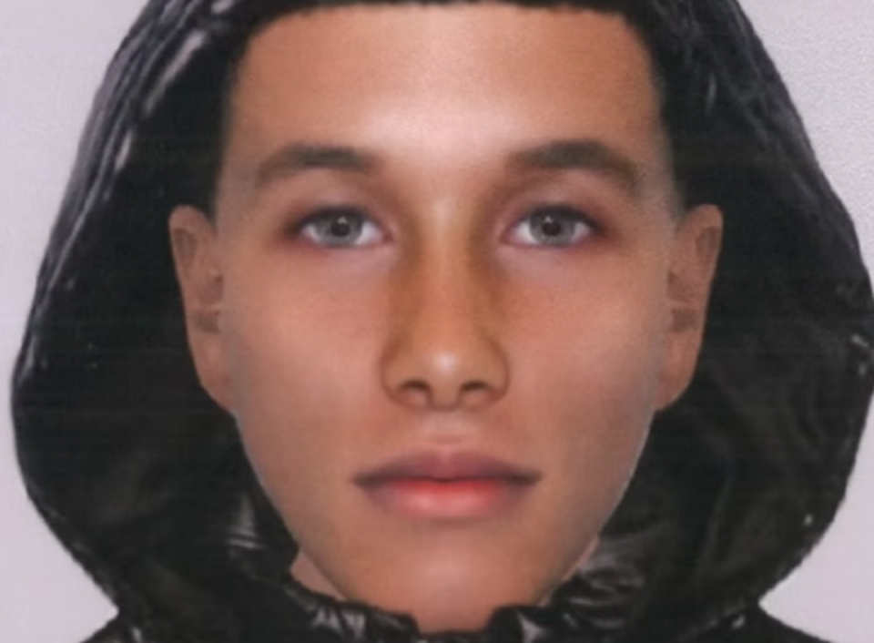An e-fit police released of a suspect wanted in connection with the sexual assaults (Metropolitan Police)