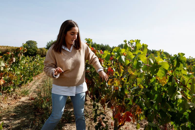 In Spain's La Rioja, old vines could future proof wine against climate change