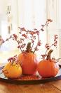 <p>Let berry branches steal the show by inserting them into a trio of orange pumpkins. </p><p><a class="link " href="https://www.amazon.com/Artificial-Jmkcoz-Christmas-Decorations-Arrangements/dp/B08J799DXL/ref=sr_1_5?tag=syn-yahoo-20&ascsubtag=%5Bartid%7C10055.g.33437890%5Bsrc%7Cyahoo-us" rel="nofollow noopener" target="_blank" data-ylk="slk:SHOP BERRY BRANCHES;elm:context_link;itc:0;sec:content-canvas">SHOP BERRY BRANCHES</a></p>