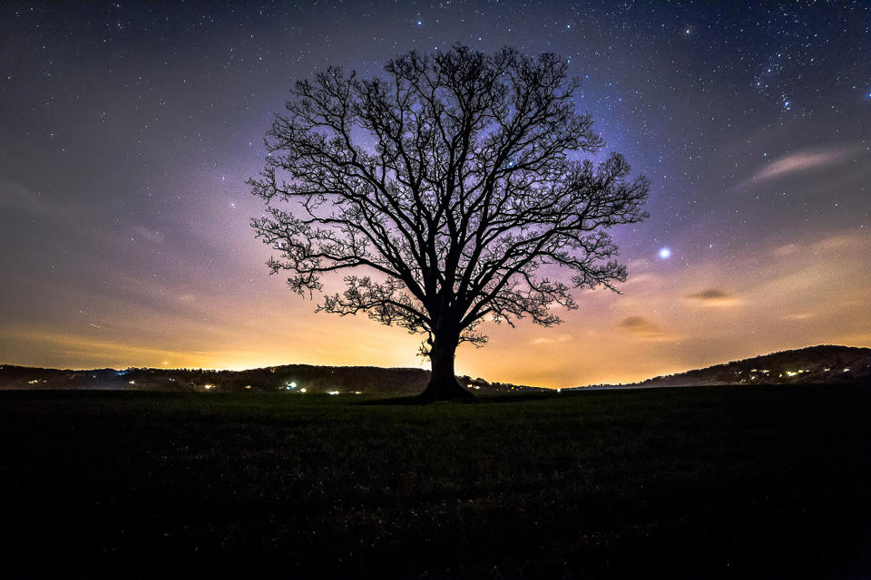 Jurassic coast meteor shower