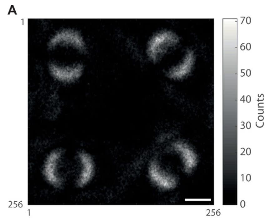 比黑洞照片更震撼，人類拍到第一張量子糾纏照片
