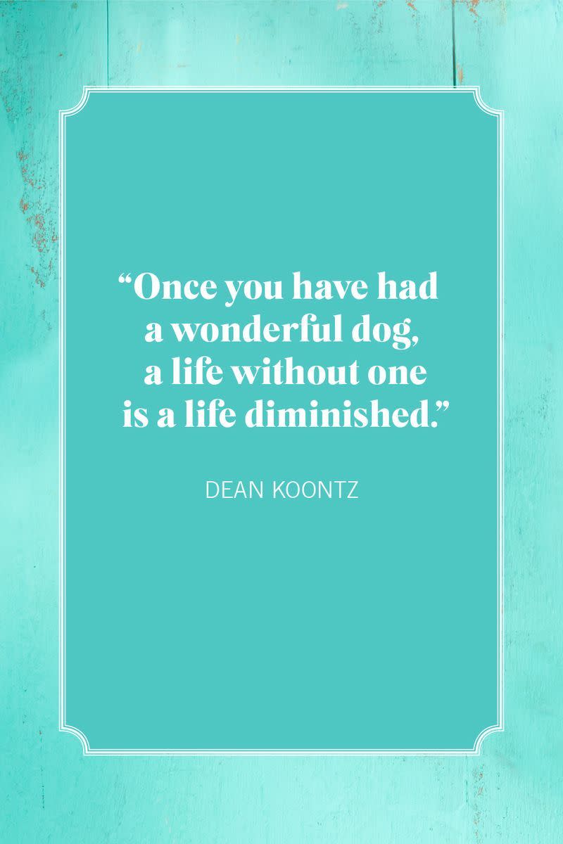 dog mom quotes dean koontz