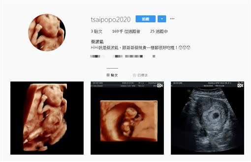蔡阿嘎幫未出世的「蔡波能」設立IG。（圖／翻攝自IG）
