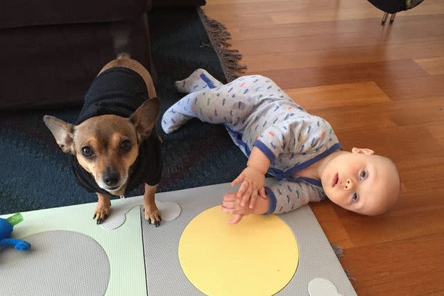 <p>Christina Ricci/Instagram</p> Christina Ricci's son Freddie with their dog Karen Carpenter.