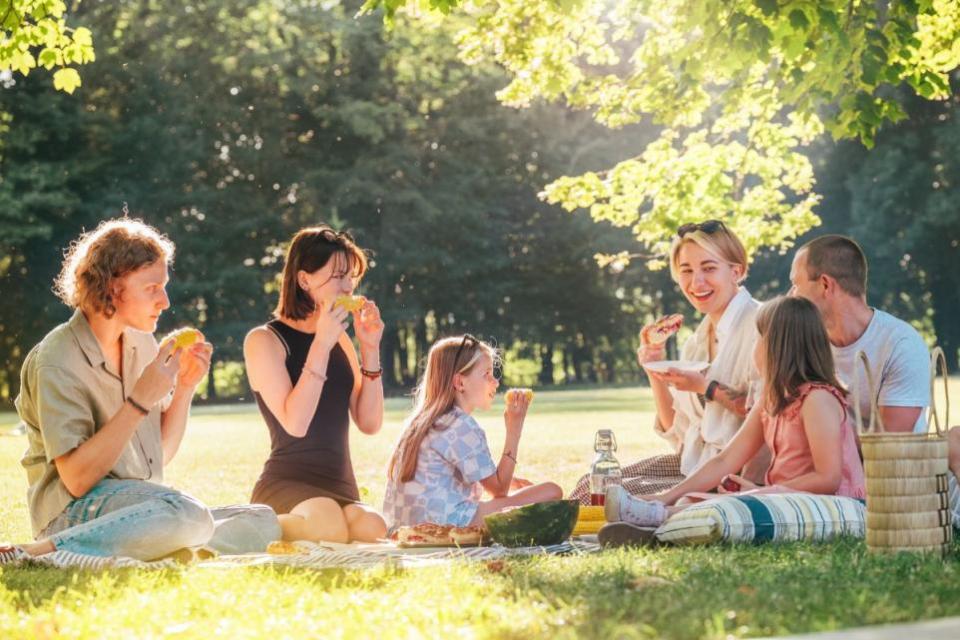 York Press: Do you know of any good parks for a picnic in North Yorkshire?