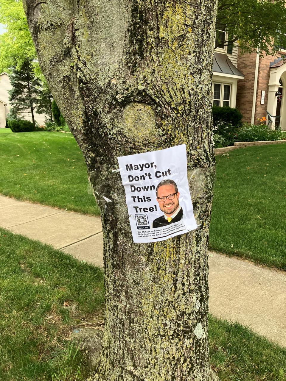 Noblesville is removing 133 trees that are damaging sidewalks in the leafy Oakmont subdivision