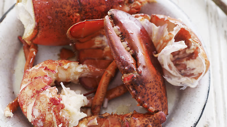 Close-up of cooked lobster pieces on a plate