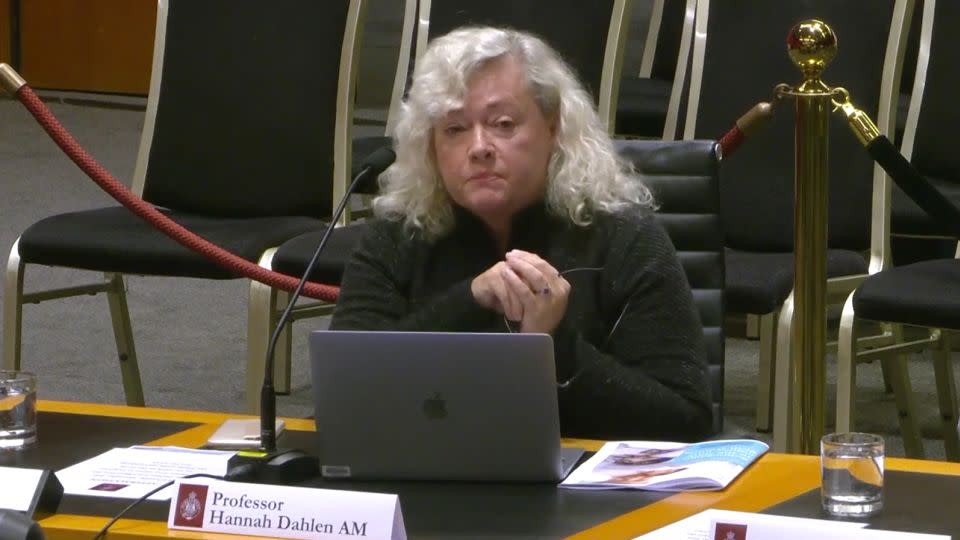 Dr Hannan Dahlen, a leading midwifery researcher, told the inquiry that women often blame themselves for bad birth experiences. - NSWParliament/YouTube