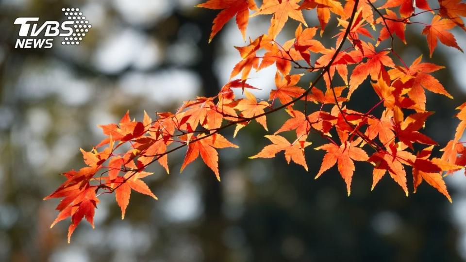 （示意圖／shutterstock達志影像）