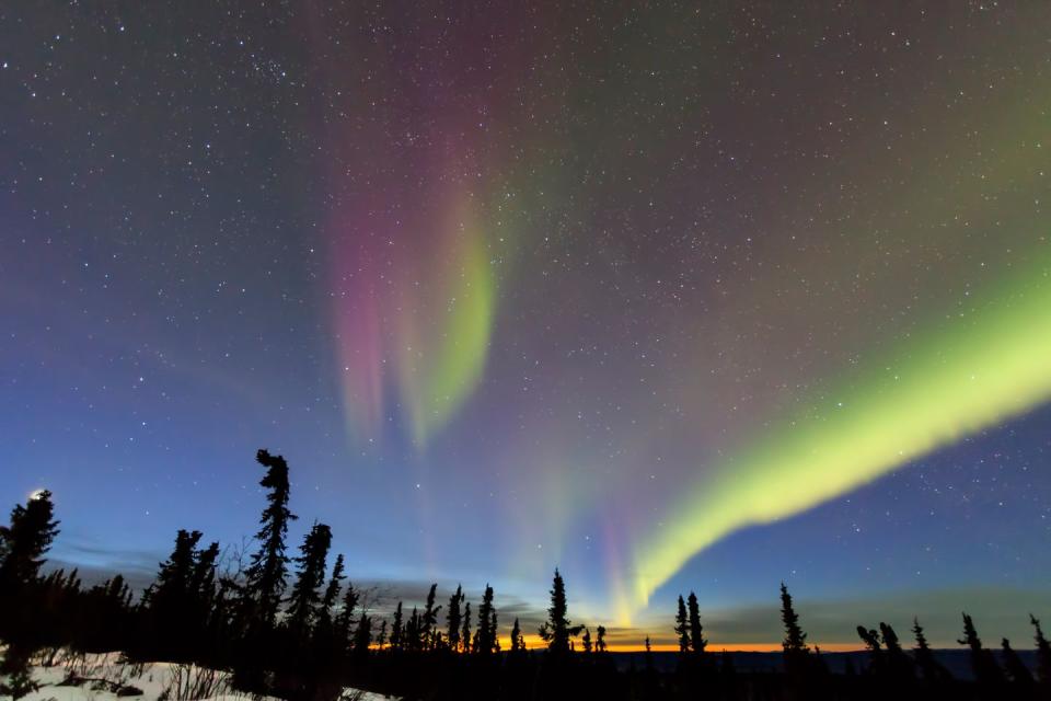 a green and purple aurora in the sky over trees