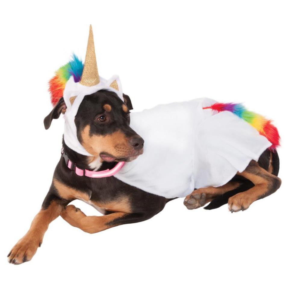 Dog wearing a Rubie's Light Up Collar Unicorn Pet Costume on a white background