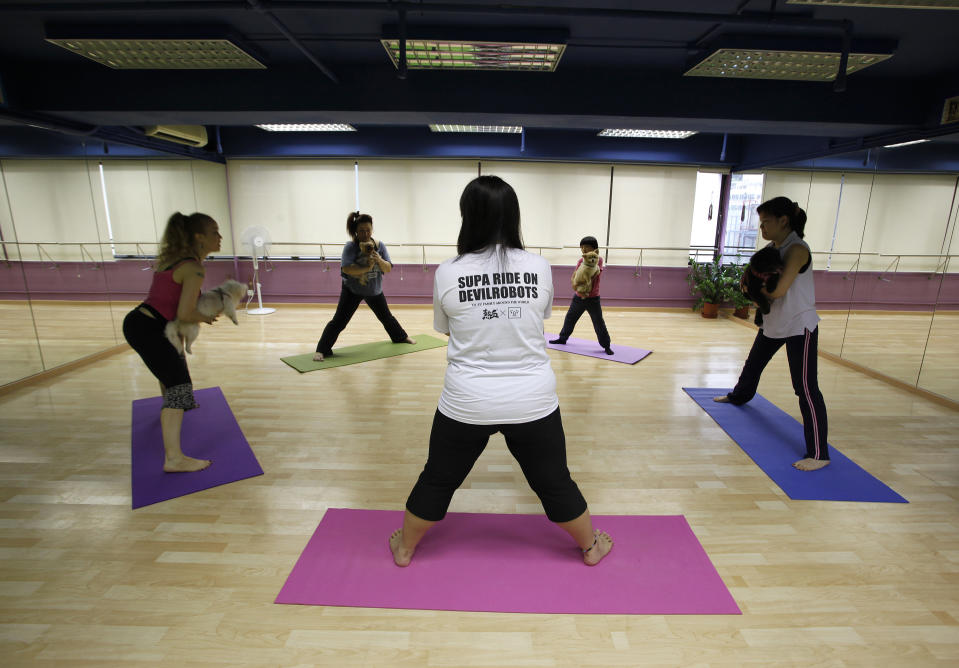 Participants take part in a "doya", or dog yoga, lesson in Hong Kong August 20, 2011. The class aims to help dogs find their 'inner' peace and maintain a close relationship with dog lovers, according to the instructors. Picture taken August 20, 2011. REUTERS/Bobby Yip (CHINA - Tags: SOCIETY ANIMALS)