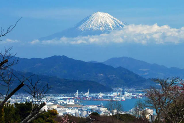 不只河口湖！遊客衝靜岡拍富士山亂象頻傳