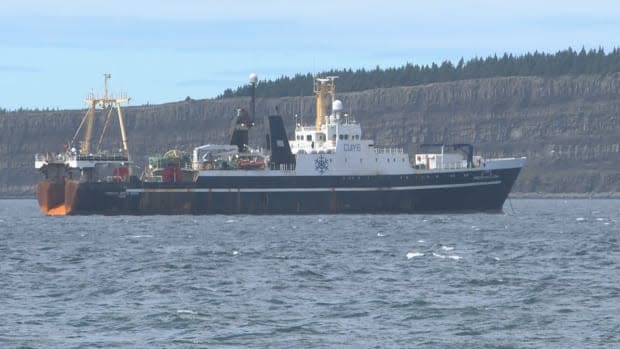 The Princess Santa Joana left Newfoundland and Labrador on Wednesday, with all but one person on board reportedly recovering from COVID-19. (Emma Grunwald/CBC - image credit)