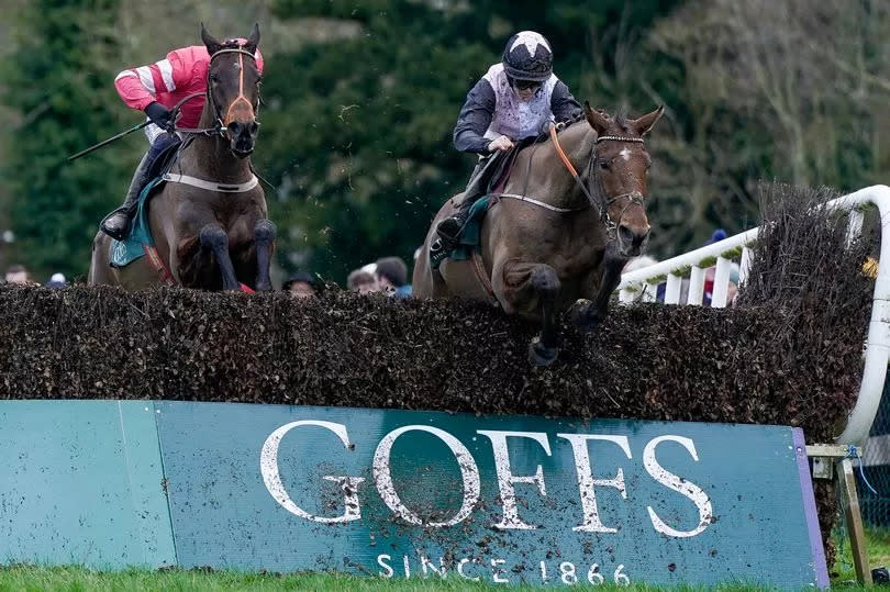 Rachael Blackmore and Ain't That A Shame (R) clear the last to win the Goffs Thyestes Handicap Chase at Gowran Park Racecourse on January 25 2024