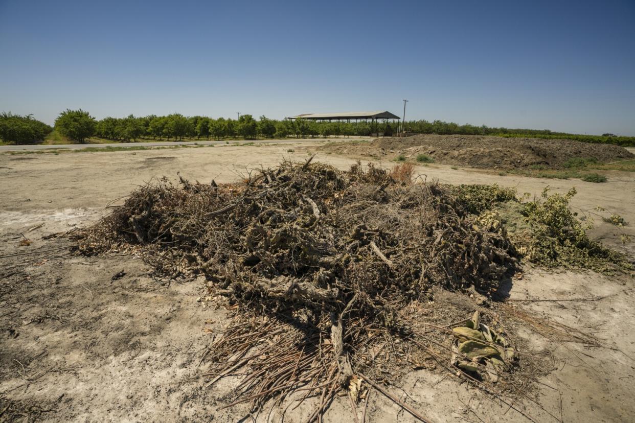A pile of agricultural waste lies in a field.