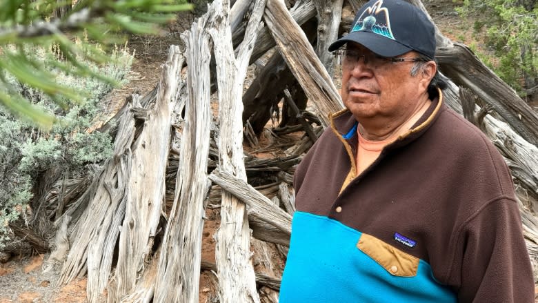 The battle for Bears Ears, the park Republicans want Trump to erase