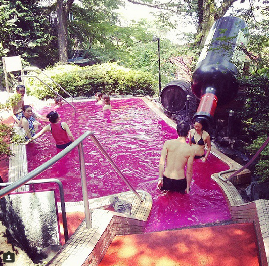 En Japón puedes bañarte en una piscina de vino tinto