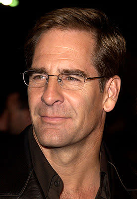 Scott Bakula at the Hollywood premiere of Life as a House