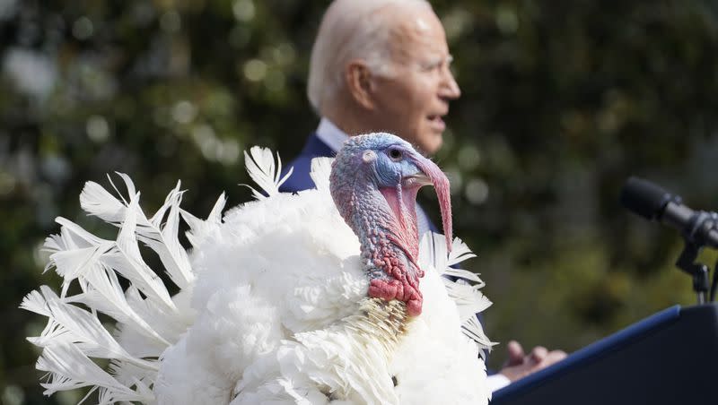 President Joe Biden pardons the national Thanksgiving turkeys, Liberty and Bell, during a pardoning ceremony on the South Lawn of the White House in Washington, Monday, Nov. 20, 2023.