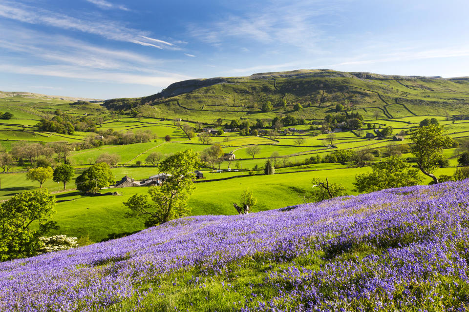 Explore the Yorkshire Dales National Park on the Settle Circular trail (Getty Images)