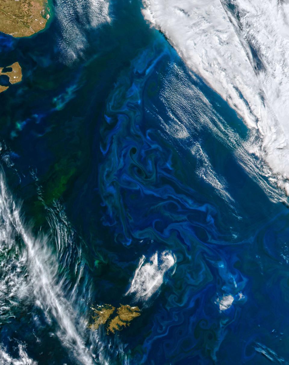 notice the seasonal abundance of chlorophyll off the coast of Argentina. This area, known as the “shelf-break front,” is at a crossroads of ocean currents. The nutrients they carry often produce dazzling phytoplankton displays in the spring and summer.

These blooms are especially eye-catching in natural-color satellite images. As summer approached in the southern hemisphere, a phytoplankton bloom became visible off the coast of Argentina. This image was acquired on November 21, 2022, with the Moderate Resolution Imaging Spectroradiometer (MODIS) on NASA’s Terra satellite. Turbulent conditions on the edge of the continental shelf generated swirls of water traced by phytoplankton that painted the water blue and green.