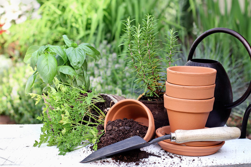 gardening supplies, garden landscaping