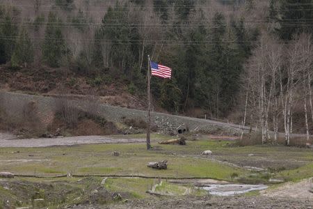 An American flag is pictured amidst the partially-cleaned-up debris field of a mudslide in Oso, Washington March 19, 2015. REUTERS/David Ryder