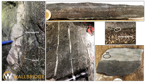 Fenelon Gold, Photos of typical Area 51 gold mineralization in the new underground exploration drift