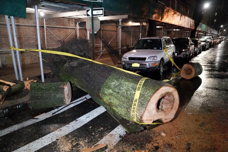 A downed tree on Van Cortlandt Park South near Gouverneur Avenue in the Bronx, NY on April 3, 2024. Christopher Sadowski