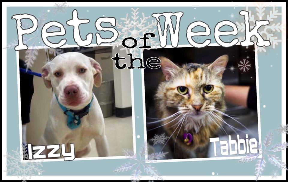 Pets of the Week: Izzy and Tabbie