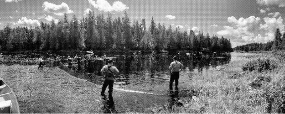 A photo from the report of crews setting up a net to rescue Salmon before rotenone is applied.